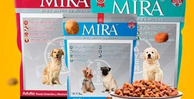 Todas las croquetas Mira de Bayer