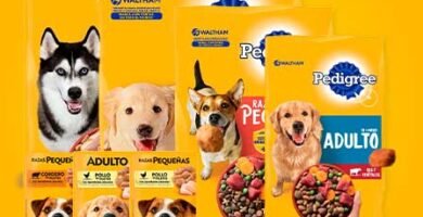 Croquetas Pedigree