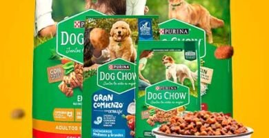 Todas las Croquetas Dog Chow