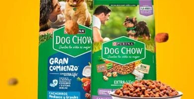 Dog Chow Cachorro