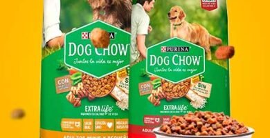 Todas las Croquetas Dog Chow Adulto