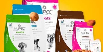 croquetas nupec