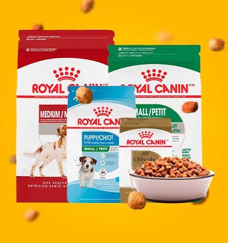 Todas las croquetas Royal Canin