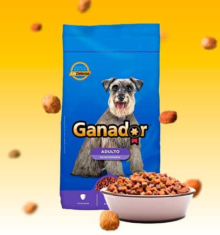 Ganador Adulto Razas Pequeñas normal Croquetas Ganador Adulto Razas Pequeñas