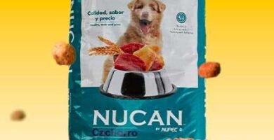 Croquetas Nucan Cachorro: MEJORES croquetas confiables según usuarios.