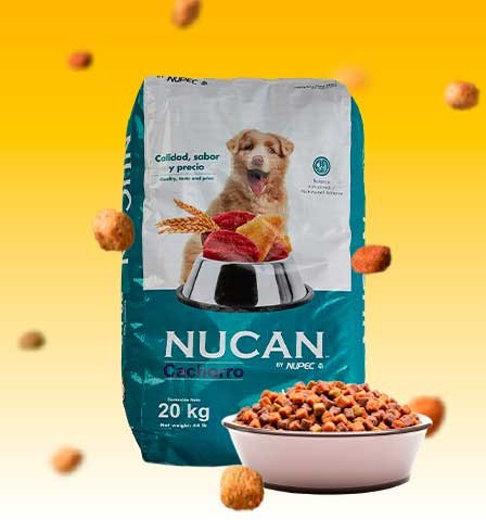 Croquetas Nucan Cachorro: MEJORES croquetas confiables según usuarios.