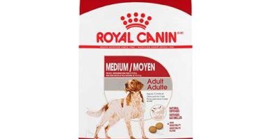 presentacion inicial de Royal Canin Adulto Raza Mediana