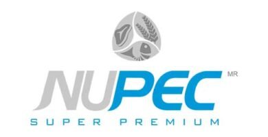 marca de croquetas nupec