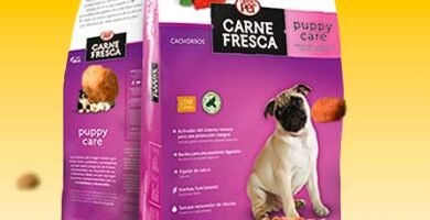 Carne Fresca Puppy Care
