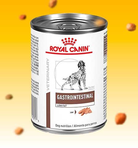 Lata Gastrointestinal Royal Canin