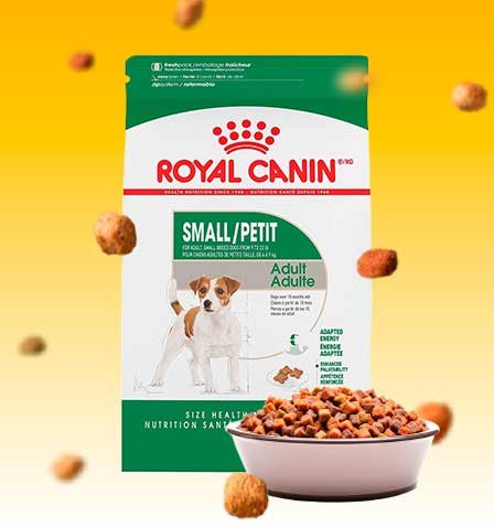 Royal Canin Mini Adulto